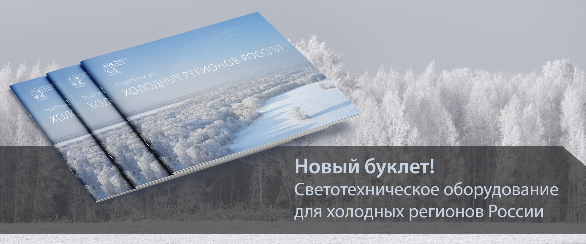 Буклет «Холодные регионы» Буклет «Холодные регионы»